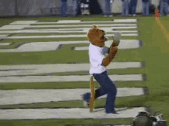 Go Lions Mascot Dancing GIF