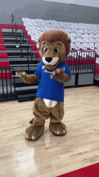 Go Lions Mascot Gameday Mood GIF