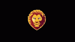 Go Lions Roar Champions  GIF