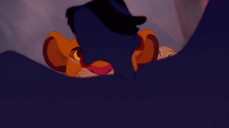 Go Lions Simba And Zazu GIF