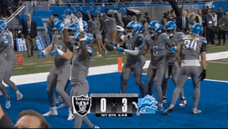 Go Lions Team Rejoicing GIF