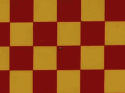 Go Mifune Speed Racer Alighting Mach 5 GIF