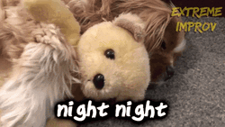 Go Night Night Dog Hugging Teddy Bear GIF