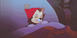 Go Night Night Figaro GIF