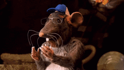 Go Shop Rat Showering GIF