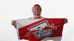Go Team Emil Frosberg Shaking Flag GIF