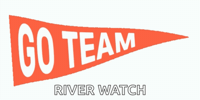 Go Team River Watch Pennant GIF