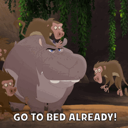 Go To Bed Hippo And Monkeys GIF