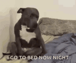 Go To Sleep Too Early GIF