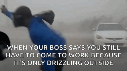 Go To Work Because Its Only Drizzling Outside Hurricane Meme GIF