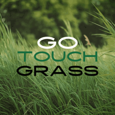 Go Touch Grass Poster GIF