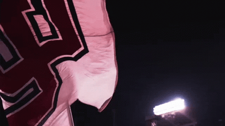 Go Utes Utah Utes Flag Fluttering GIF