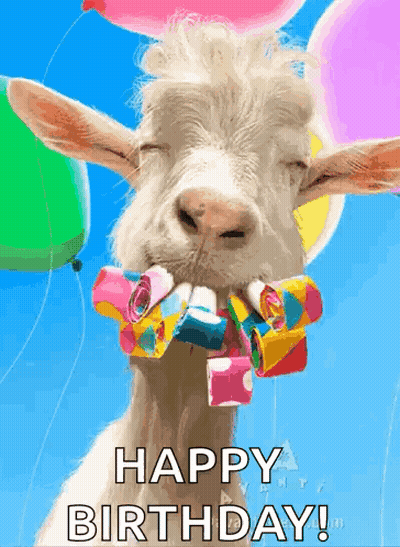 Goat Blowing Party Horns Holding Balloons GIF