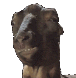 Goat Chewing Sticker GIF