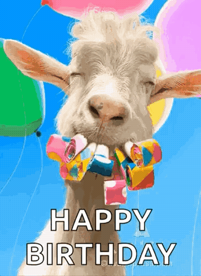 Goat Holding Balloons Blowing Party Horn GIF