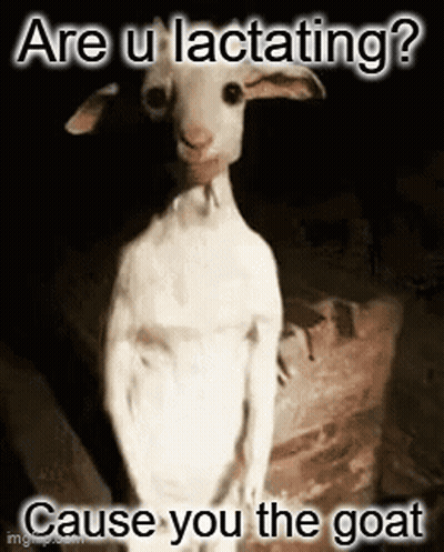 Goat In Dark Saying Are U Lactating Cause You The Goat GIF