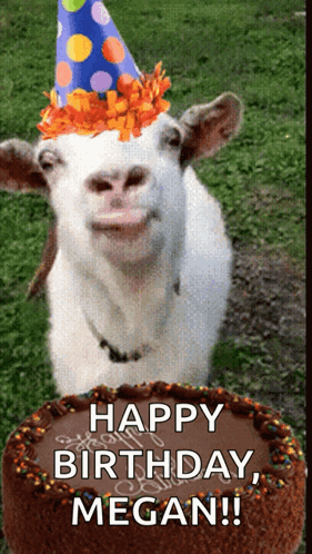 Goat In Party Hat Next To Birthday Cake GIF
