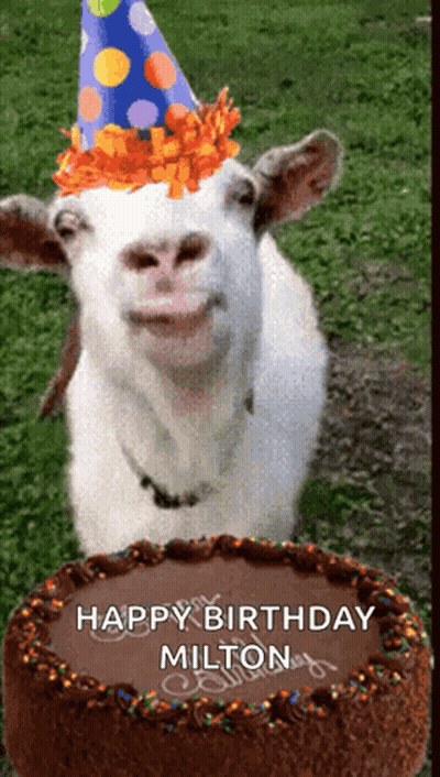 Goat In Party Hat Saying Happy Birthday Milton GIF