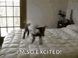 Goat Is So Excited Meme GIF
