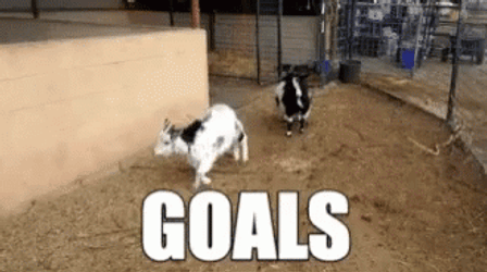Goat Jumping Goals GIF