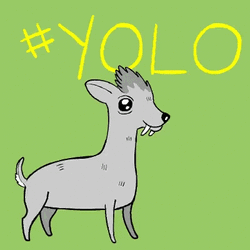 Goat Jumping Yolo GIF