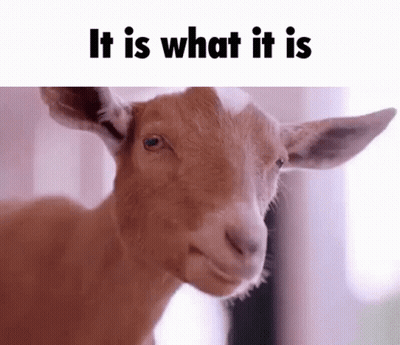 Goat Making Funny Face It Is What It Is GIF