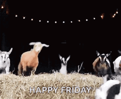 Goat Meme Happy Friday GIF