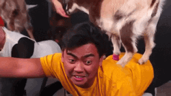 Goat On My Back GIF