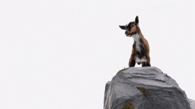 Goat On Rock Saying Greatest Of All Time GIF