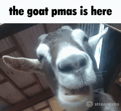 Goat Pmas Here GIF