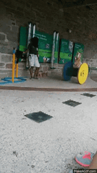 Goat Rolling Wooden Spool GIF