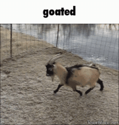 Goat Running In Dirt Field Saying Goated GIF