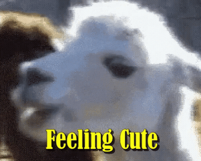 Goat Saying Feeling Cute GIF
