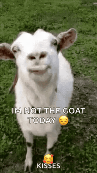 Goat Saying Im Not The Goat Today Kisses GIF