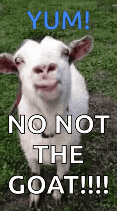 Goat Saying Yum No Not The Goat GIF