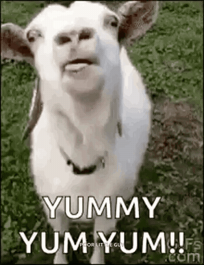 Goat Saying Yummy Yum Yum GIF