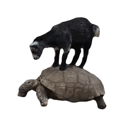Goat Standing On Turtle Sticker