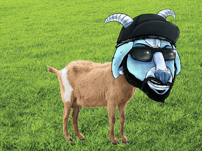 Goat Wearing Mask And Sunglasses GIF