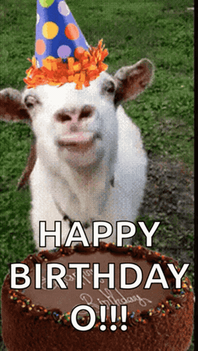 Goat Wearing Party Hat In Front Of Birthday Cake GIF