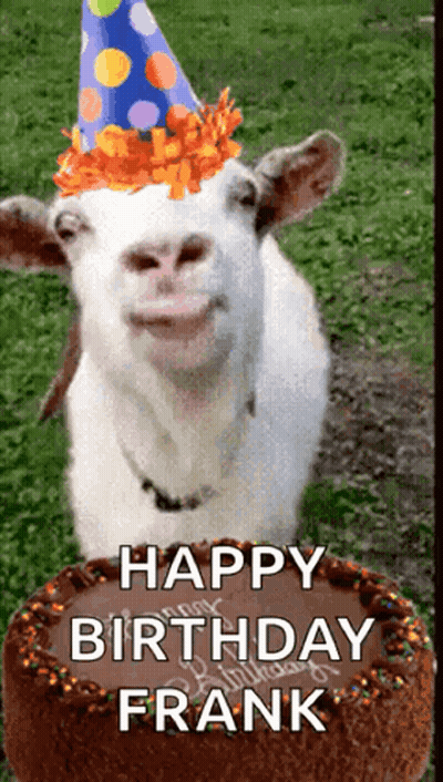 Goat Wearing Party Hat Next To Birthday Cake GIF