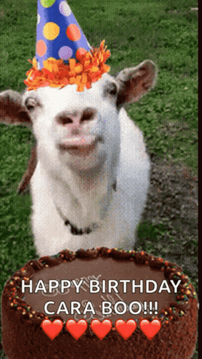 Goat Wearing Party Hat Next To Happy Birthday Cara Boo Cake GIF