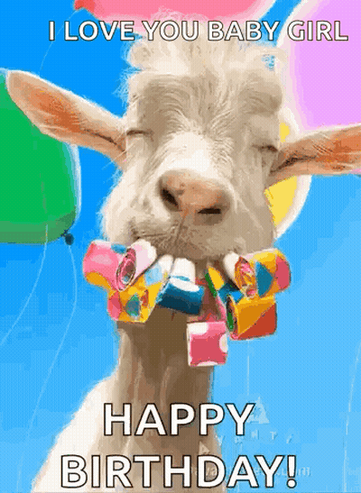 Goat Wearing Party Hat With Balloons GIF