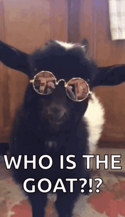 Goat Wearing Sunglasses Saying Who Is The Goat GIF