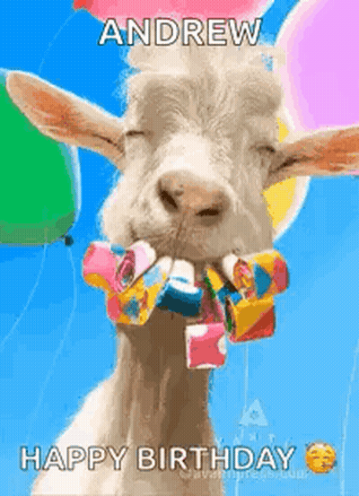 Goat With Balloons and Birthday Hat Holding Candy
