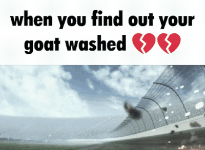 Goat With Broken Heart GIF
