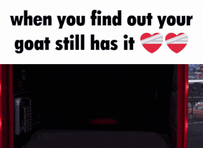 Goat With It Is Written Above Red Object GIF