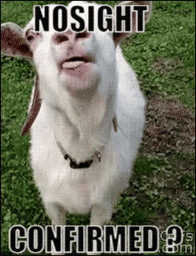 Goat With Tongue Out Nosight Confirmed