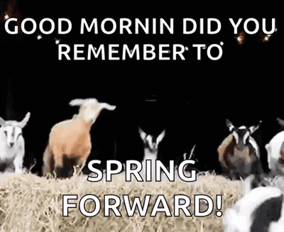 Goats In Field Saying Good Morning Did You Remember To Spring Forward GIF