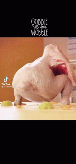 Gobble Gobble Dancing Turkey GIF
