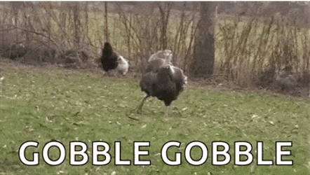 Gobble Its GIF
